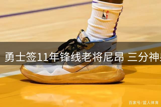 勇士签11年锋线老将尼昂 三分神射驰援库里