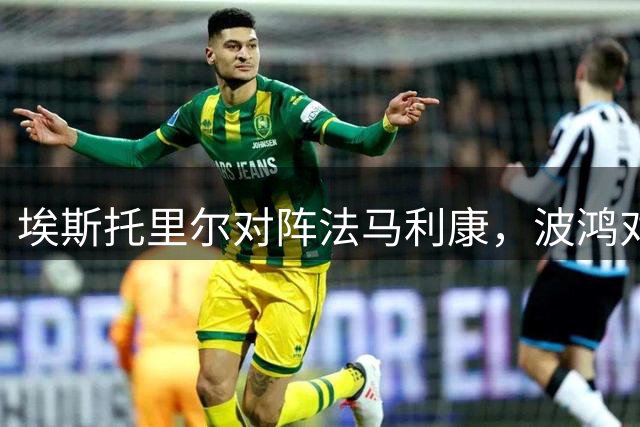埃斯托里尔对阵法马利康，波鸿对阵柏林赫塔，坎布尔对阵SBV精英，葡超德乙荷甲的足球联赛分析
