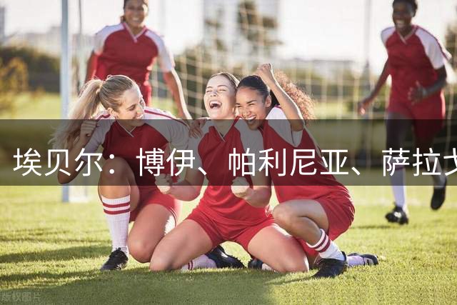 埃贝尔：博伊、帕利尼亚、萨拉戈萨不在拜仁计划内