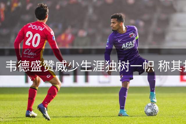 韦德盛赞威少生涯独树一帜 称其打法无人能及